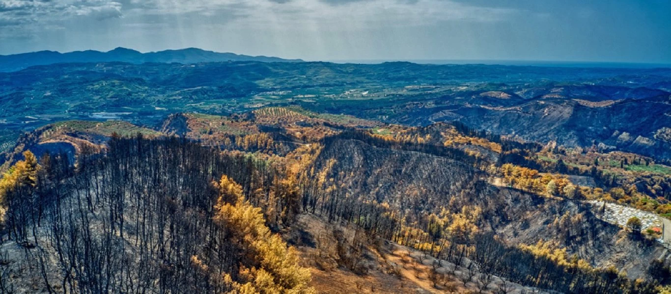 Μαύρο τοπίο στη Βόρεια Εύβοια: Αποκαρδιωτικές εικόνες - 1,2 εκατ. στρέμματα καμένα σε όλη την Ελλάδα! (βίντεο-φώτο)